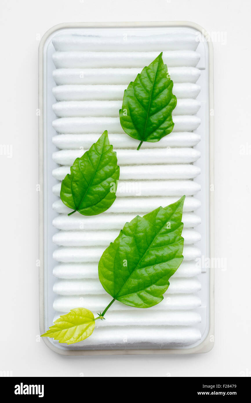 Filtro aria concetto di purezza con tre fresche foglie verde sulla superficie pulita Foto Stock