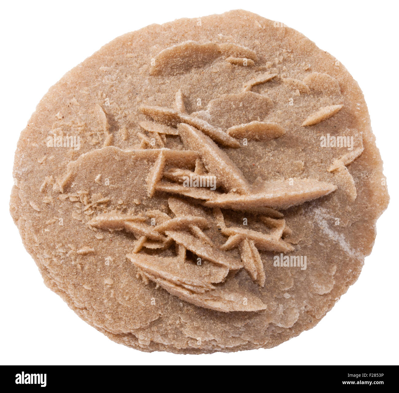 Rosa del Deserto, una spiaggia di sabbia rosa da la regione del deserto di Oman Foto Stock