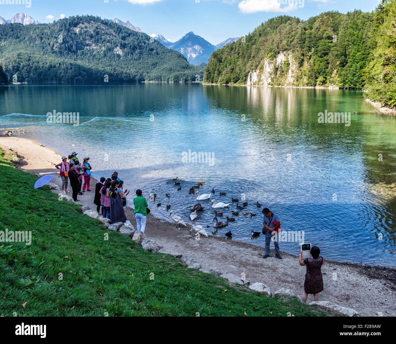 I turisti cinesi di scattare fotografie di Alpi Bavaresi & Alpsee e il lago dei cigni - Hohenschwangaü Village, Schwangau, Baviera, Germania Foto Stock