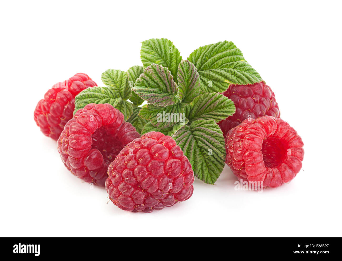 Frutta lampone closeup isolato su bianco Foto Stock