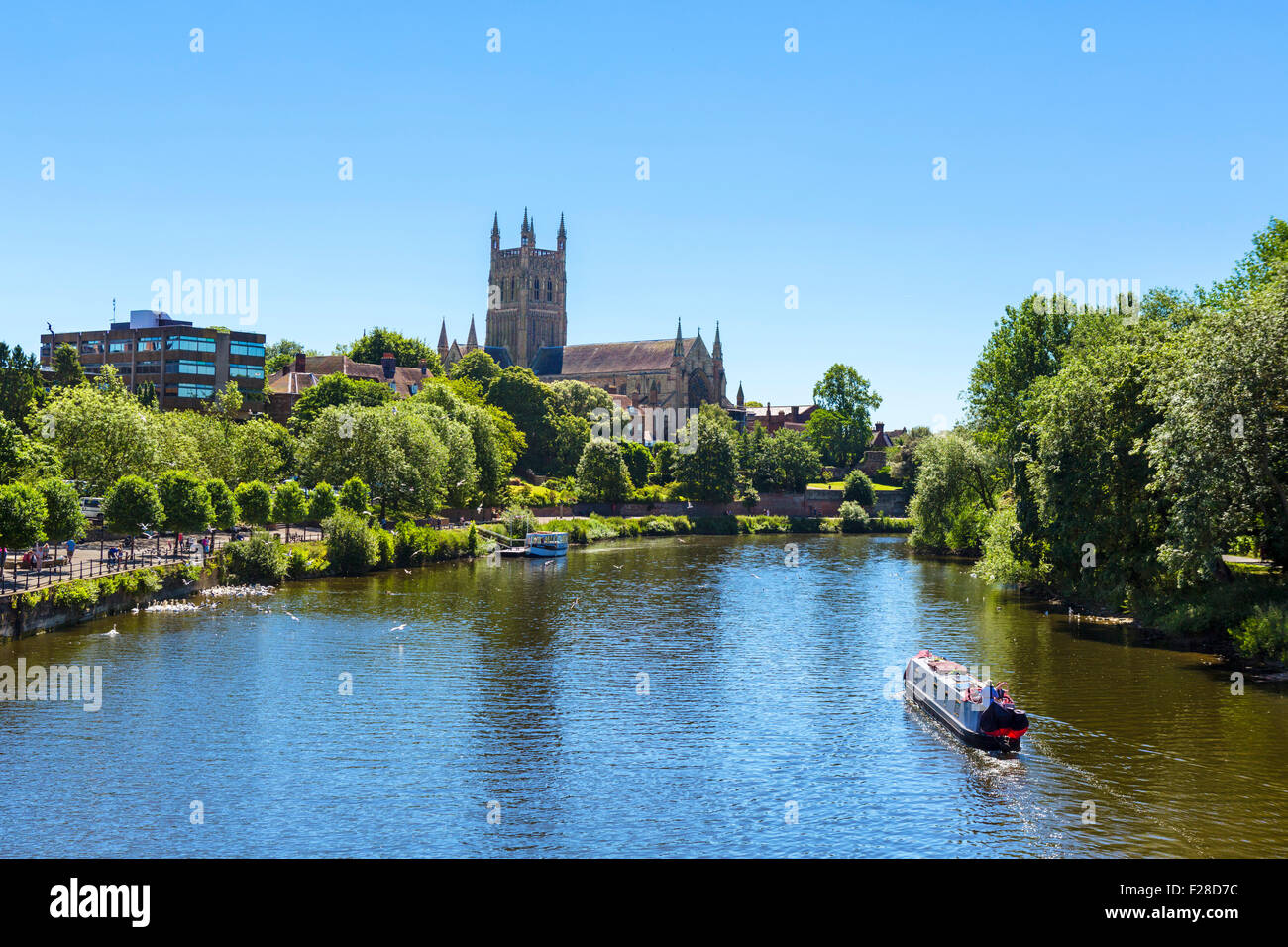 Narrowboat sul fiume Severn nella parte anteriore della cattedrale di Worcester, vista dal ponte di Worcester, Worcester, England, Regno Unito Foto Stock