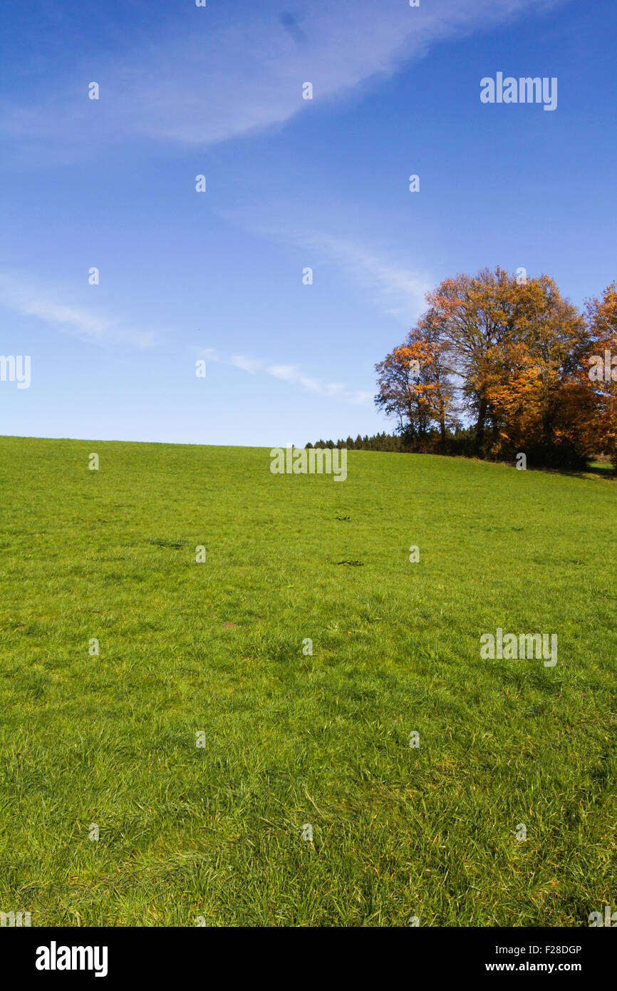 Vista panoramica del campo erboso, Eichenau, Fürstenfeldbruck, Baviera, Germania Foto Stock