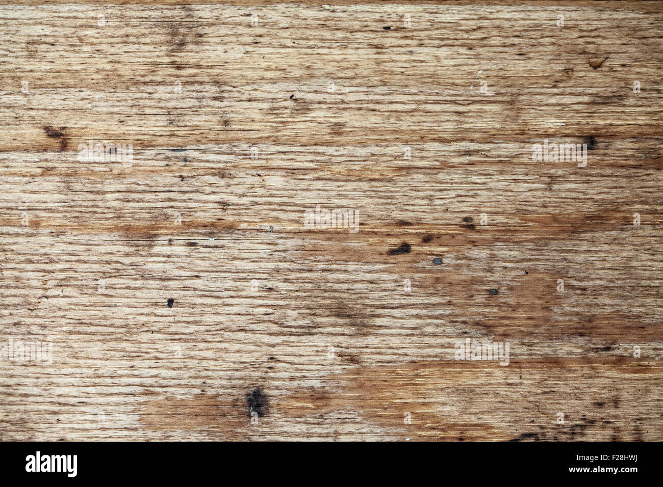 Texture di sfondo legno closeup Foto Stock
