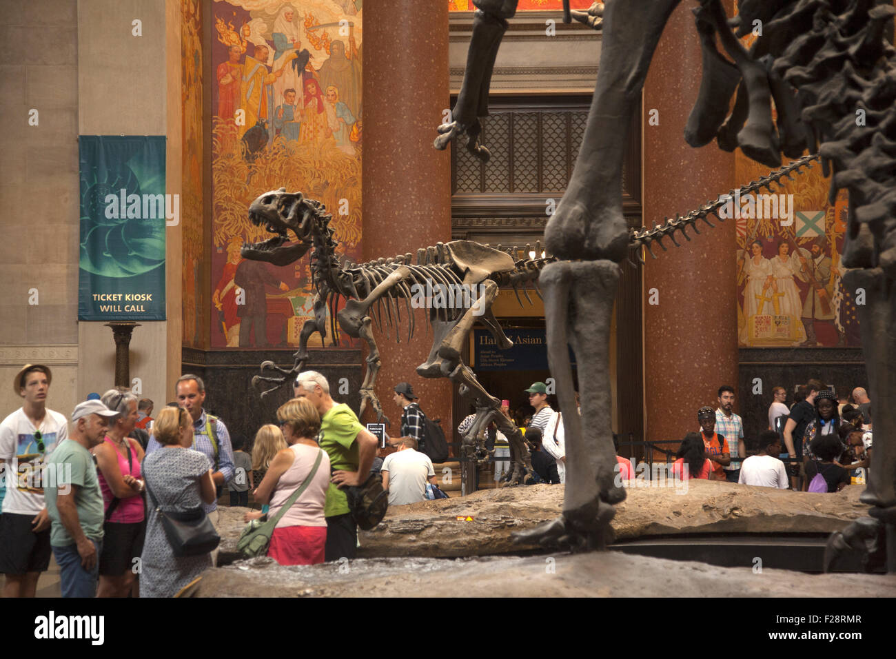 In mezzo ai visitatori un Barosaurus protegge i suoi giovani da un attaccante Allosaurus nella sala di ingresso al Museo Americano di Storia Naturale a Manhattan. Foto Stock