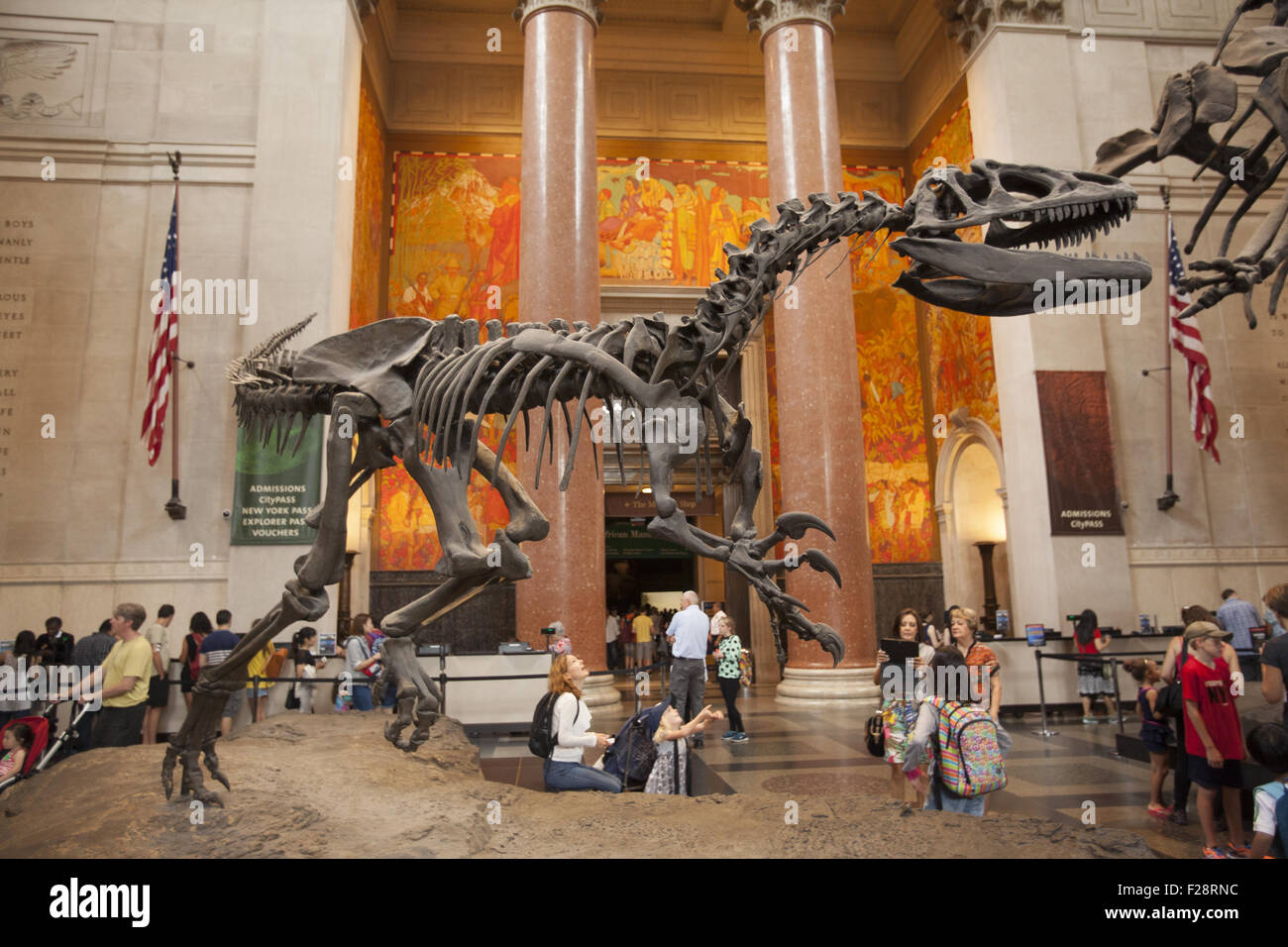 In mezzo ai visitatori un Barosaurus protegge i suoi giovani da un attaccante Allosaurus nella sala di ingresso al Museo Americano di Storia Naturale a Manhattan. Foto Stock