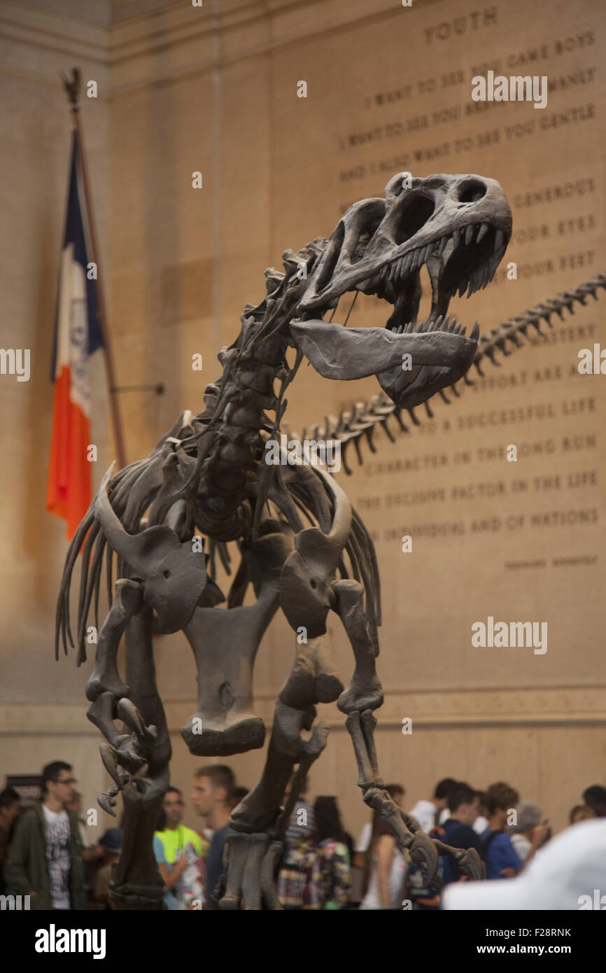 In mezzo ai visitatori un Barosaurus protegge i suoi giovani da un attaccante Allosaurus nella sala di ingresso al Museo Americano di Storia Naturale a Manhattan. Foto Stock
