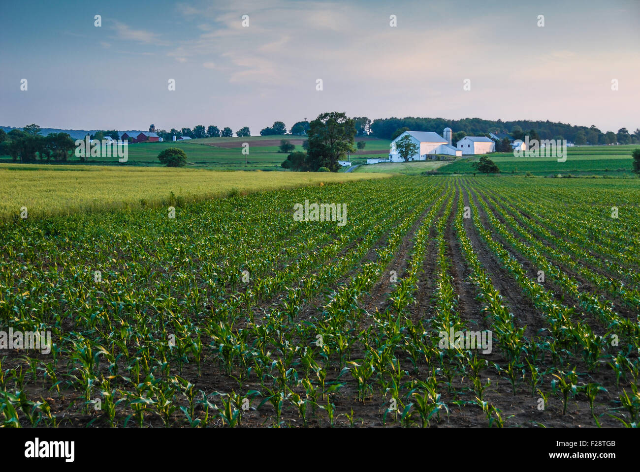 Nel tardo pomeriggio sole illumina un panoramico Casale in Lancaster County, Pennsylvania. Stati Uniti d'America. Foto Stock