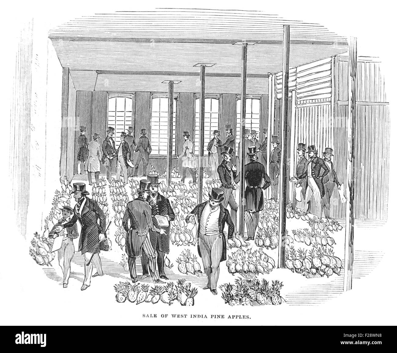 Vendita di mele di Pino sbarcati da th Reis Effendi da Nassau. Illustrated London News luglio 1844; Bianco e Nero illustrazione; Foto Stock