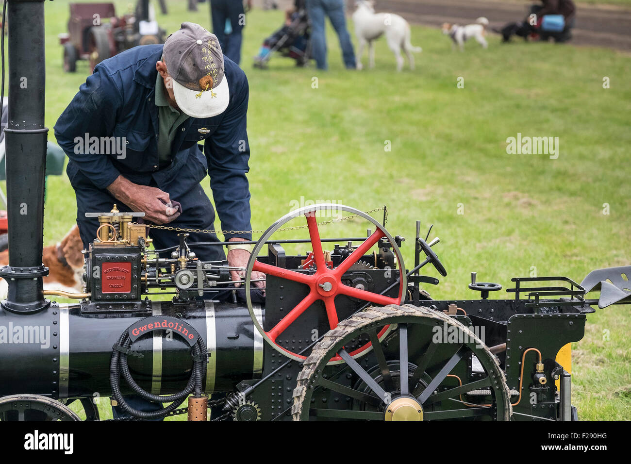 Un uomo di eseguire interventi di manutenzione sul suo modello motore a vapore presso l'Essex Paese mostrano, Barleylands, Essex. Foto Stock