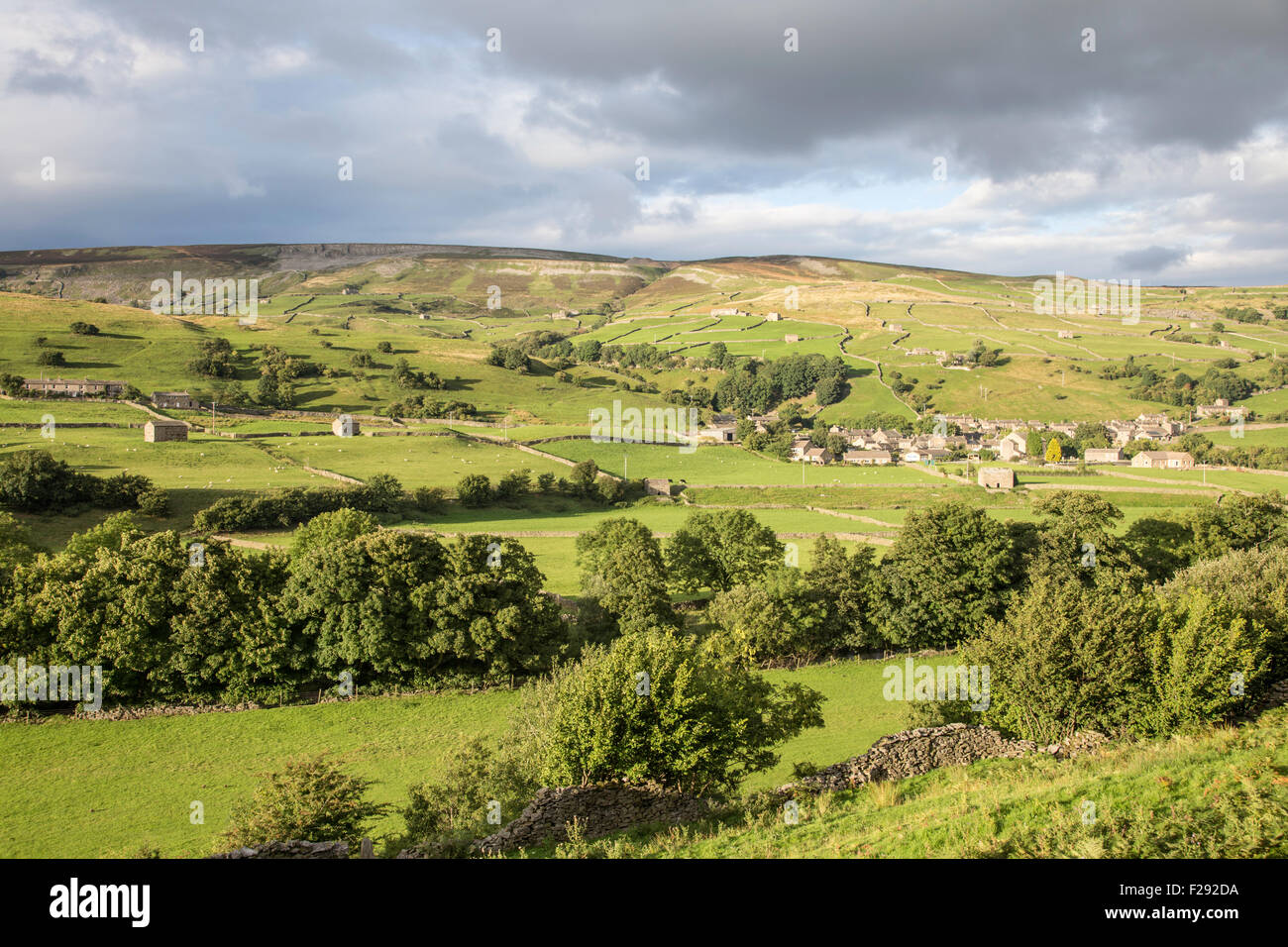 Swaledale vicino al villaggio di Gunnerside, Yorkshire Dales National Park, North Yorkshire, Inghilterra, Regno Unito Foto Stock