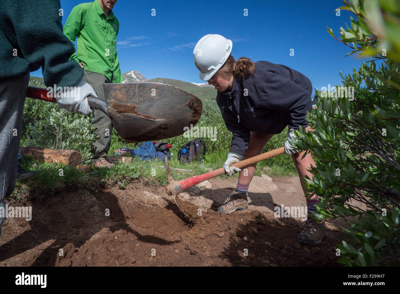Georgetown, Colorado - Alta scuola volontari mantenere il Mt. Bierstadt Trail nel Mt. Evans Wilderness Area. Foto Stock