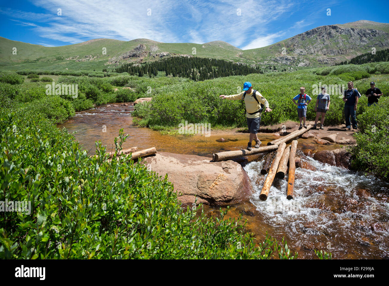 Georgetown, Colorado - escursionisti equilibrio su registri mentre attraversano un flusso sul sentiero da Guanella passare a Mt. Bierstadt. Foto Stock