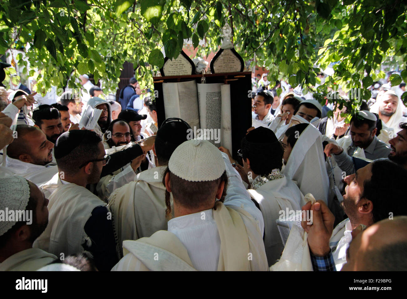 Uman, Ucraina. Xiv Sep, 2015. Ebrea ortodossa pellegrini tenere la Torah durante la festa di Rosh Hashanah in Uman, circa 200 chilometri a sud di Kiev, Ucraina, 14 settembre 2015. Ogni anno migliaia di ortodossi Hasidic Bratslav ebrei provenienti da diversi paesi si riuniscono in Uman per contrassegnare Rosh Hashanah, ebraica Anno nuovo, vicino alla tomba di Rabbi Nachman, un pronipote del fondatore di Hasidism © Nazar Furyk/ZUMA filo/Alamy Live News Foto Stock