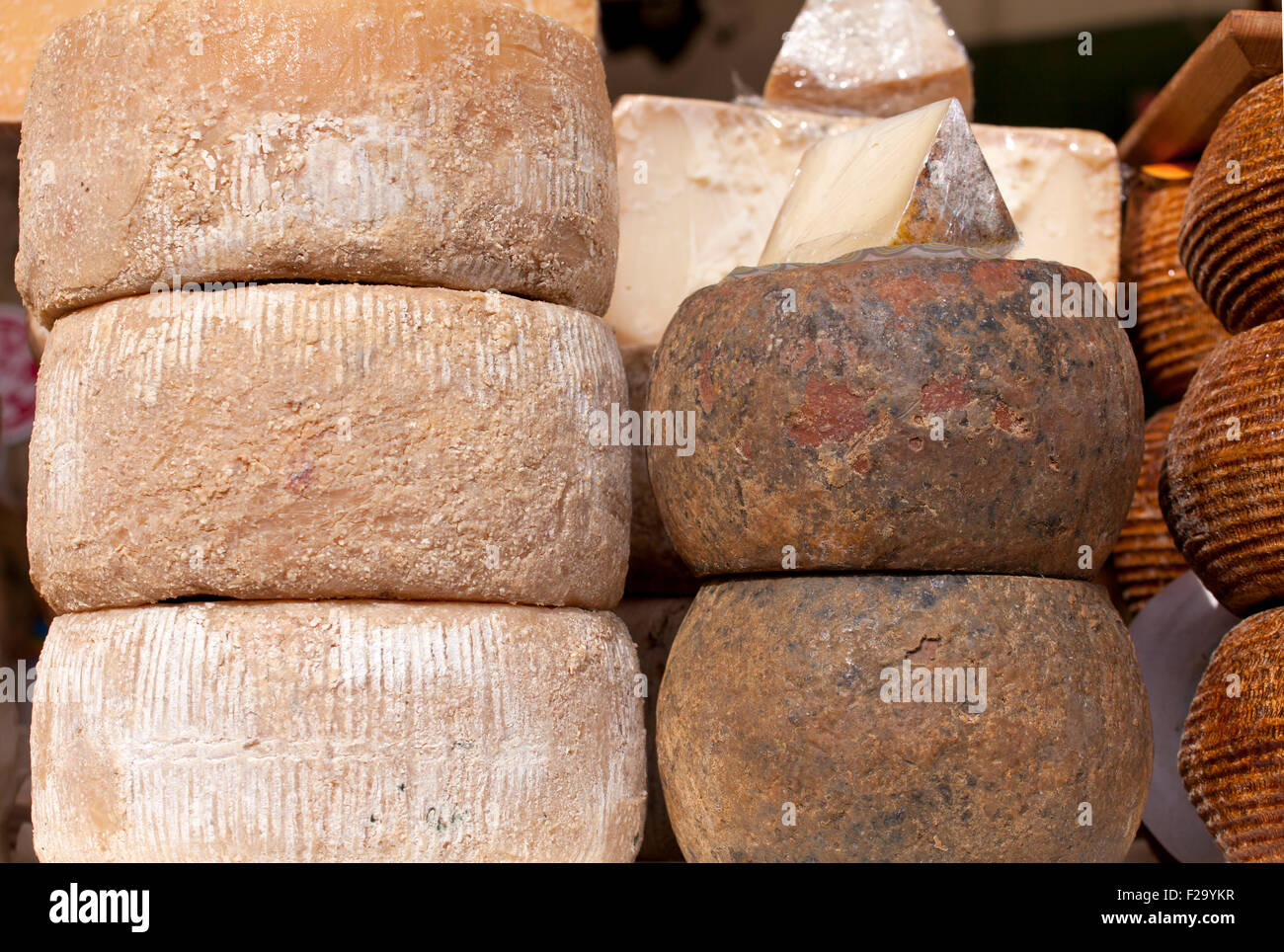 Foto di deliziosi formaggi italiani Foto Stock