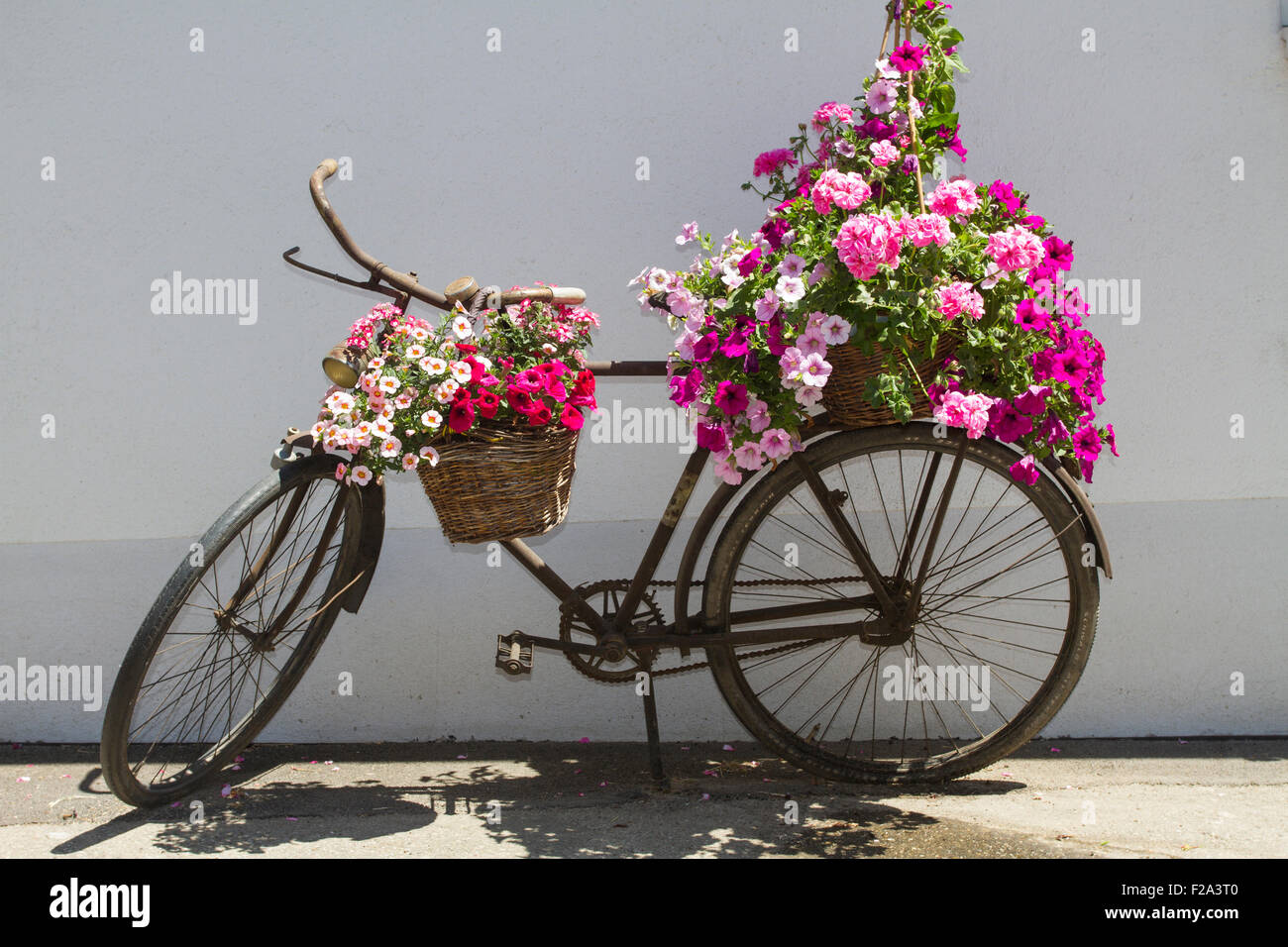 Bicycle basket decorated flowers immagini e fotografie stock ad alta  risoluzione - Alamy