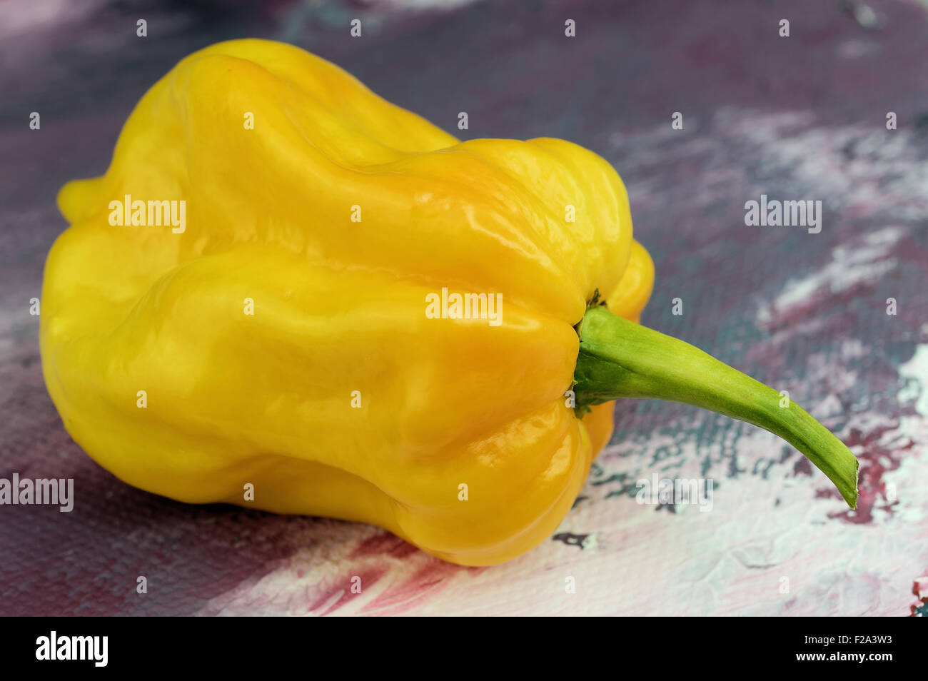 Peperone giallo, Lanterna Peperoncino (Capsicum chinense Foto stock - Alamy