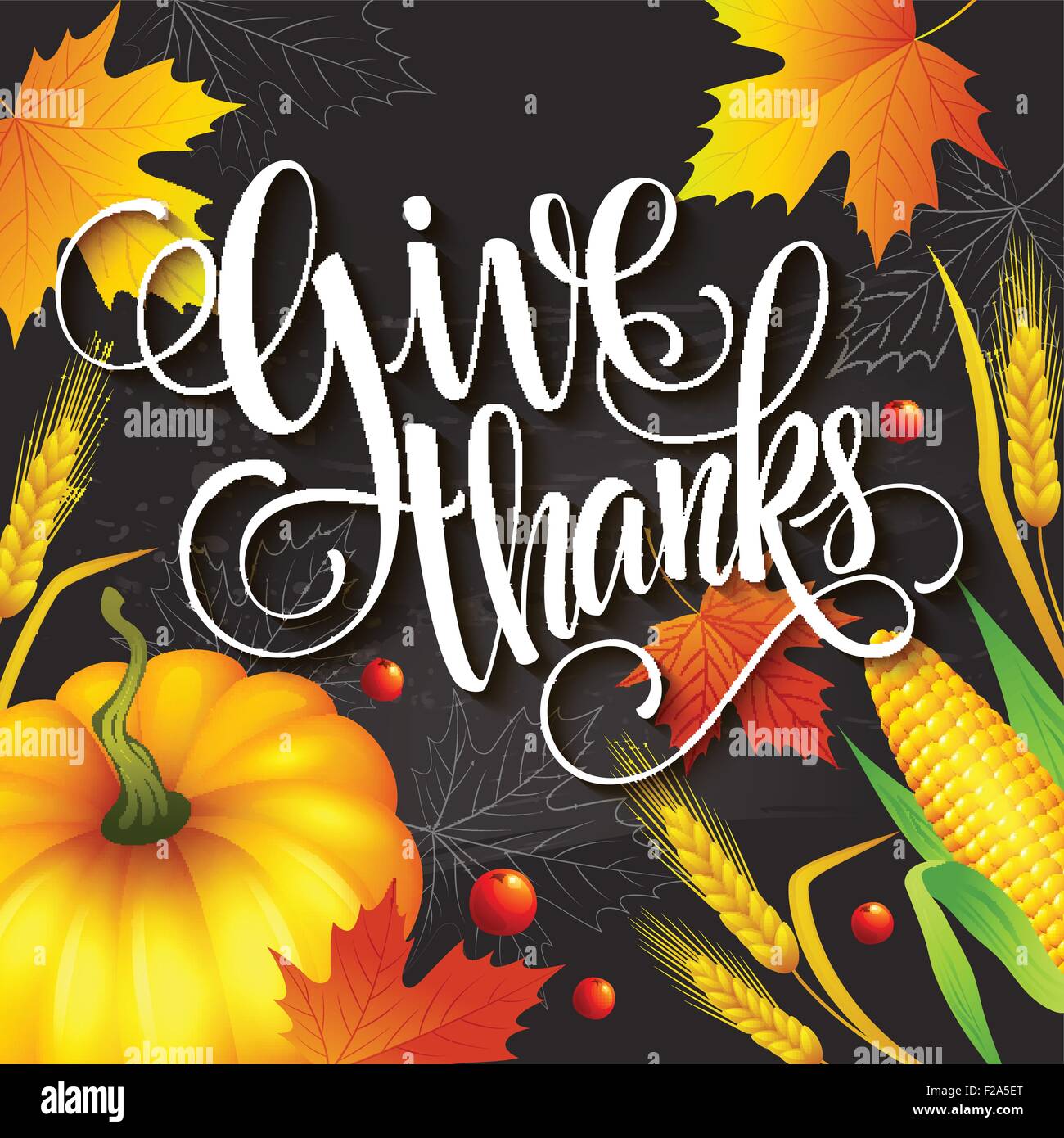 Disegnata a mano ringraziamento biglietto di auguri con foglie di zucca e spica. Illustrazione Vettoriale Illustrazione Vettoriale