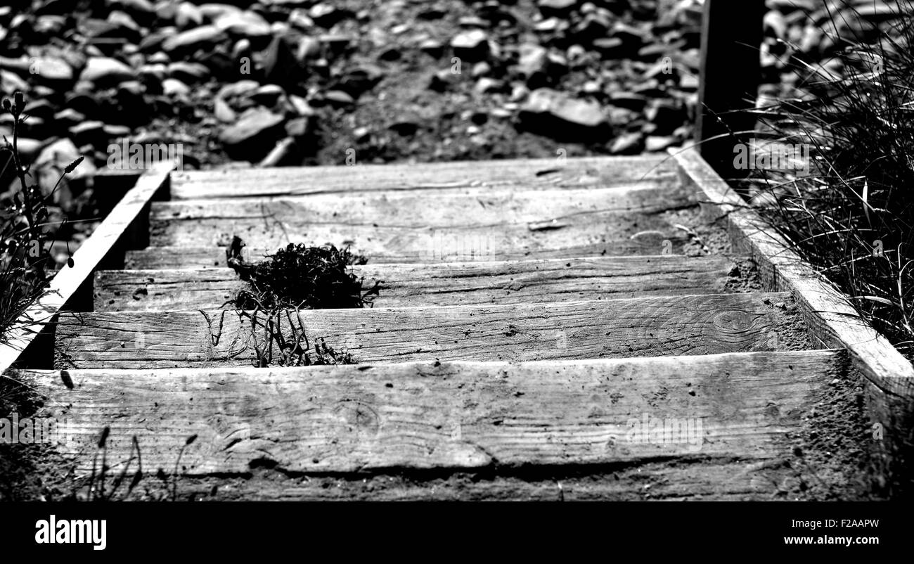 Le fasi che conducono in basso verso la spiaggia ghiaiosa Foto Stock