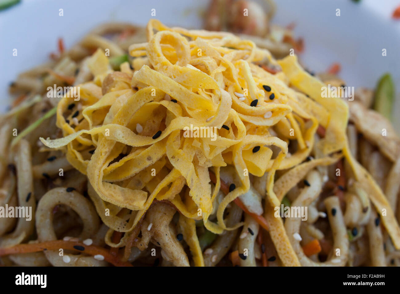 Il cinese udon tagliatelle con carne di pollo verdure Foto Stock