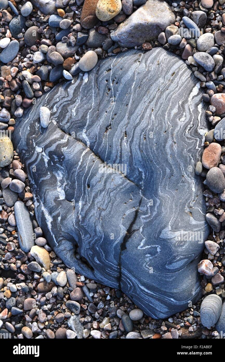 La pietra a strisce sulla spiaggia tra i sassi Foto Stock