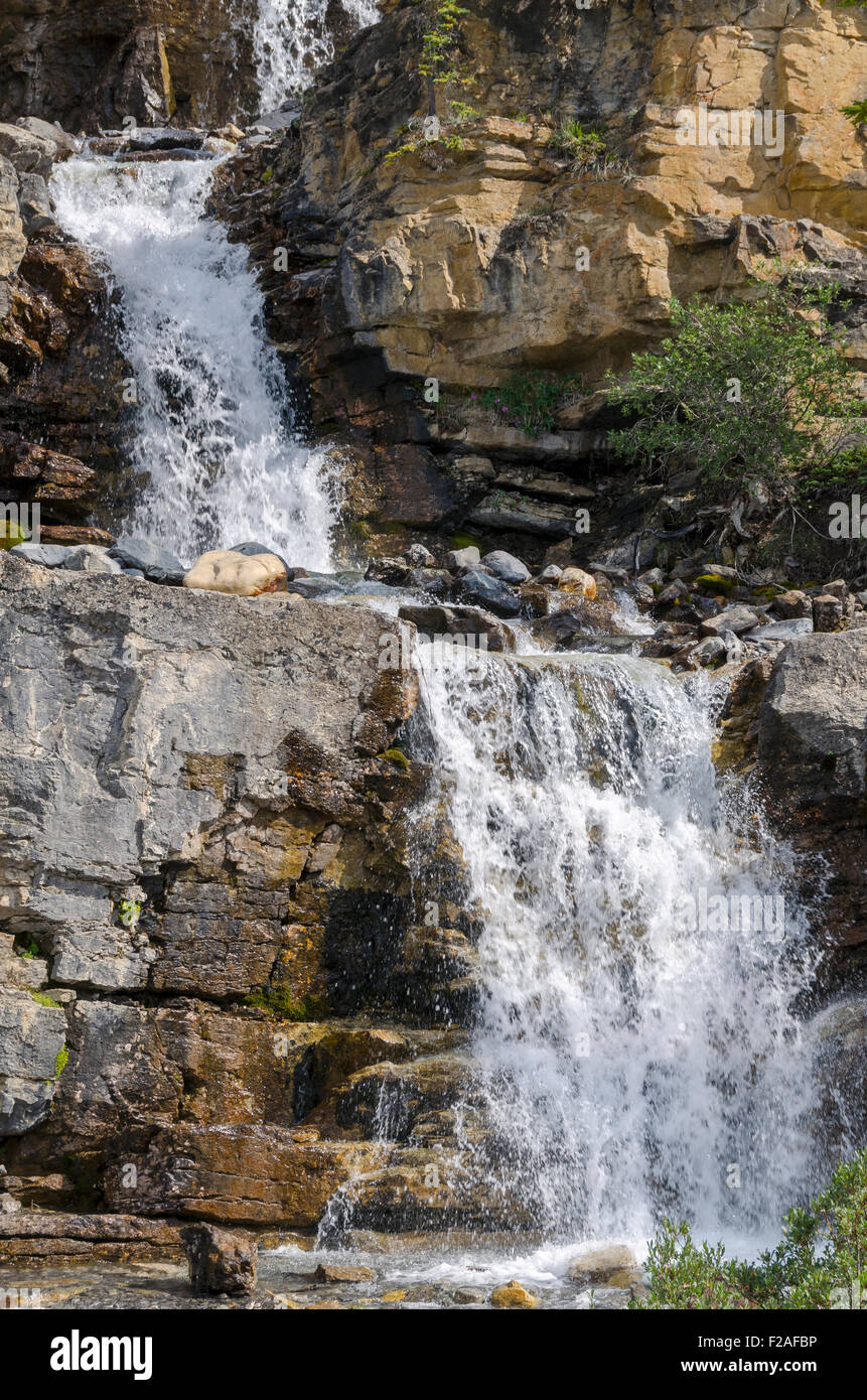 Groviglio Creek Falls sulla Icefield Parkway in Canada Foto Stock