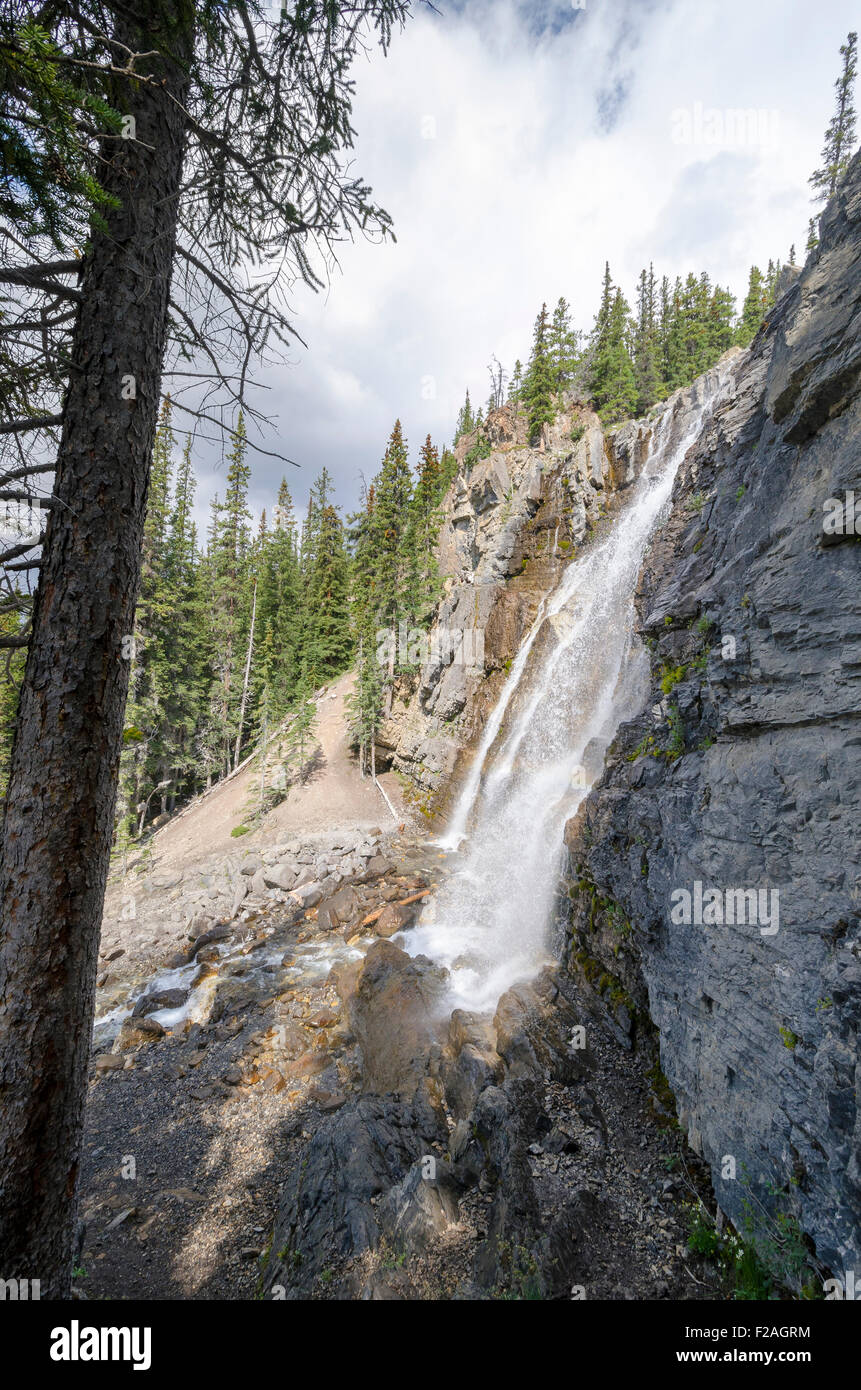 Groviglio Creek Falls sulla Icefield Parkway in Canada Foto Stock