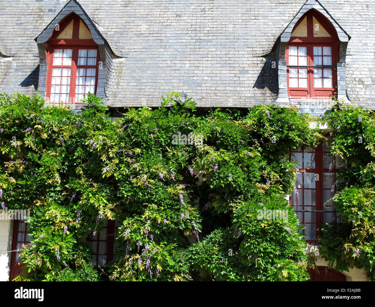 Chateau de Chenonceau, Diane's garden,la Chancellerie,della Valle della Loira,fiume Cher, Indre-et-Loire,Touraine,Francia Foto Stock