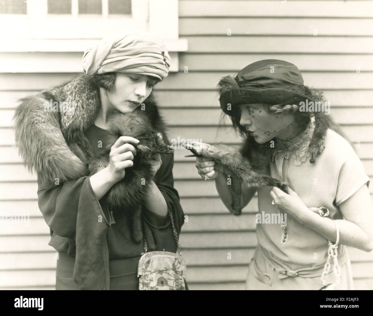 Zanne out (OLVI007 OU773 F) Foto Stock