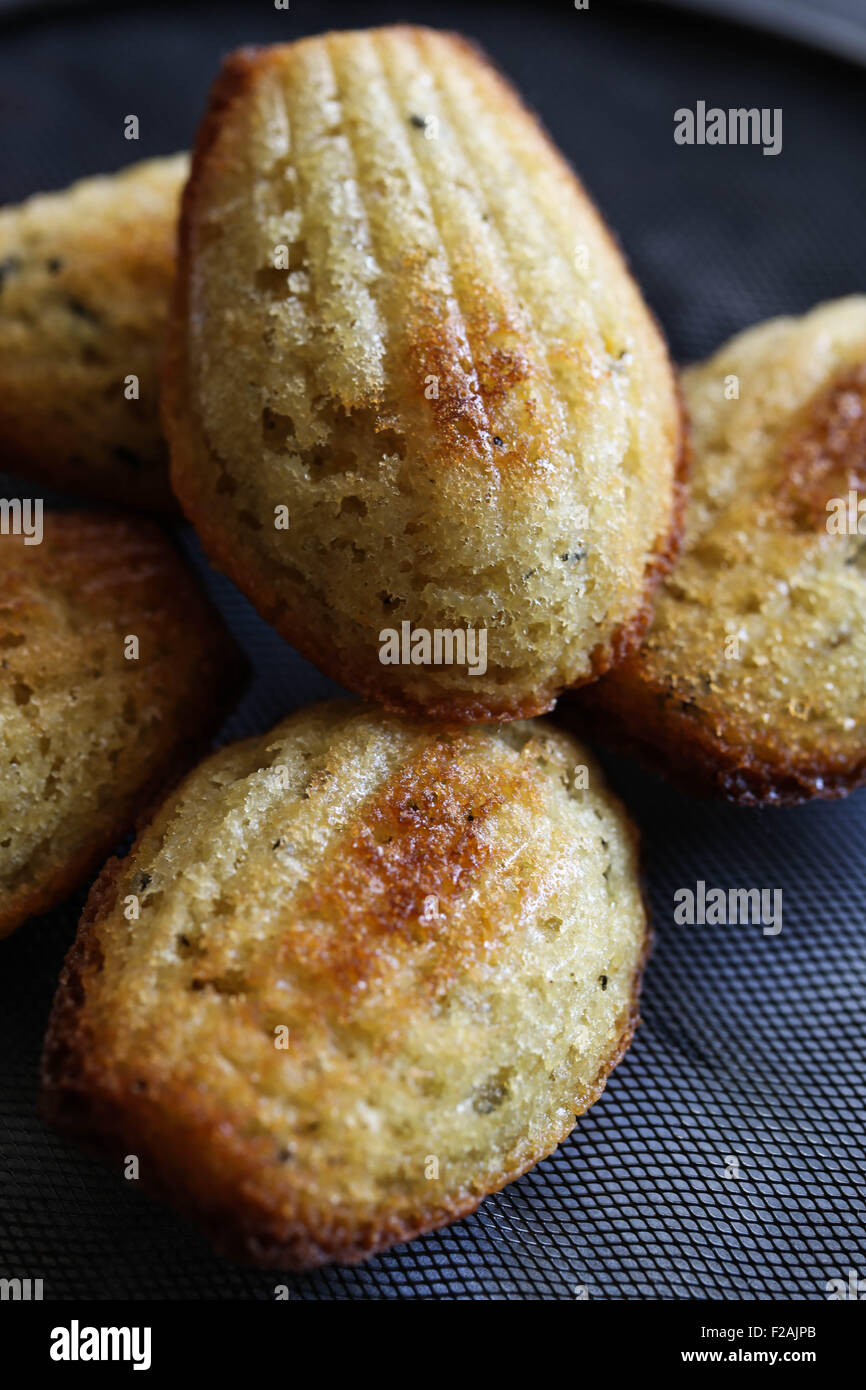 Madeleines. Messa a fuoco selettiva. Foto Stock