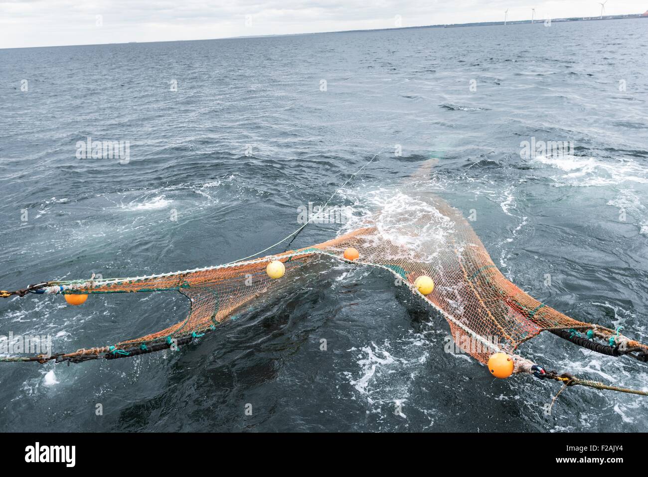 Rete a strascico pieno di pesce dalla nave di ricerca Foto Stock