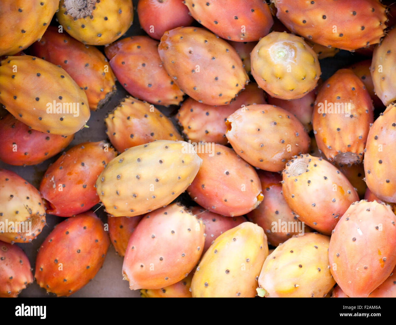 Freschi maturi siciliano ficodindia Foto Stock