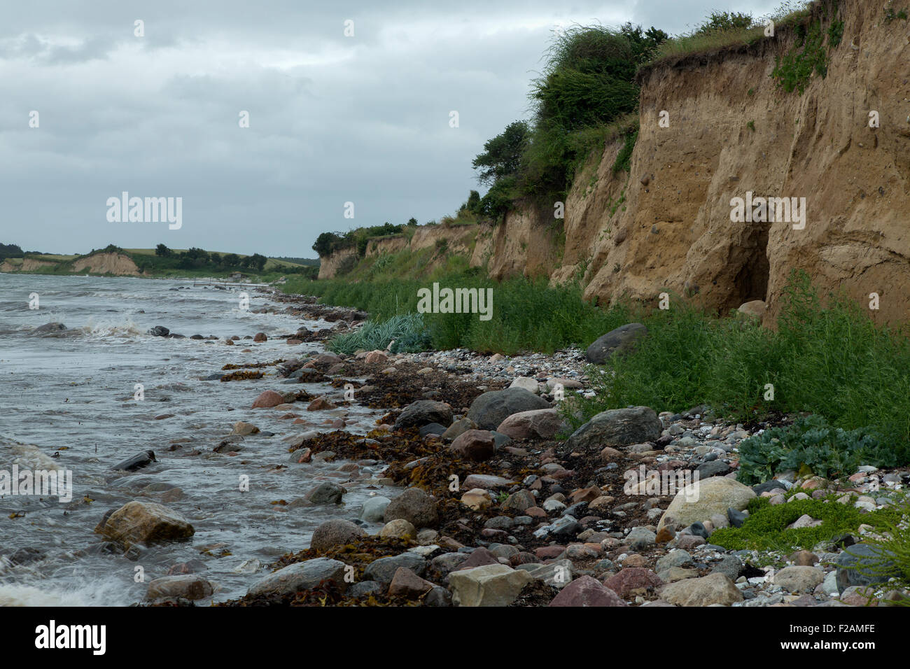 Cliff di boulder clay e spiaggia, Fyns Hoved, Funen, Danimarca Foto Stock