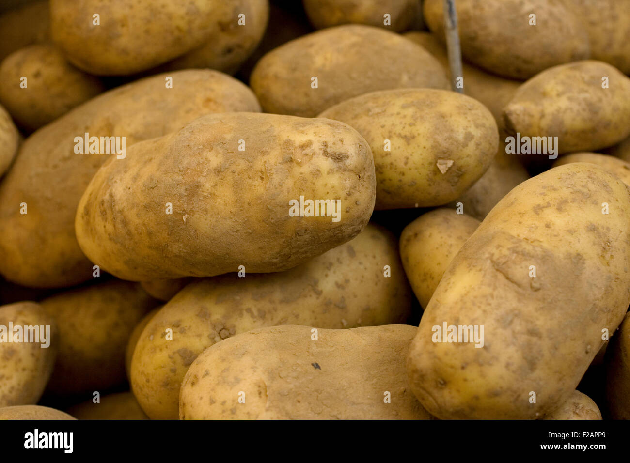 Foto di biologico Patate fresche Foto Stock