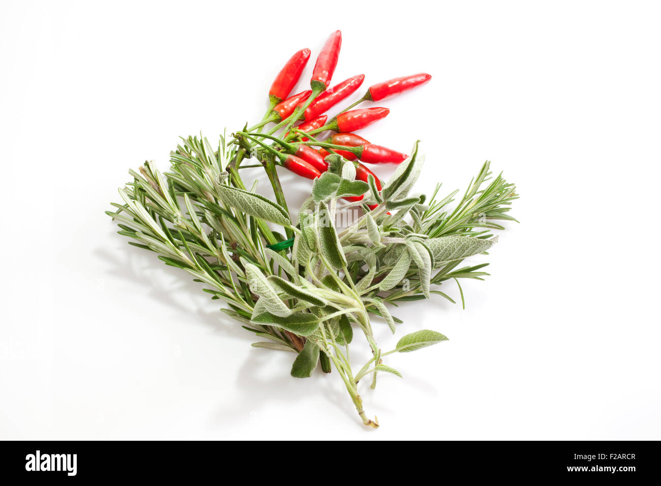 La salvia e il Red Hot Chili Peppers isolati su sfondo bianco Foto Stock