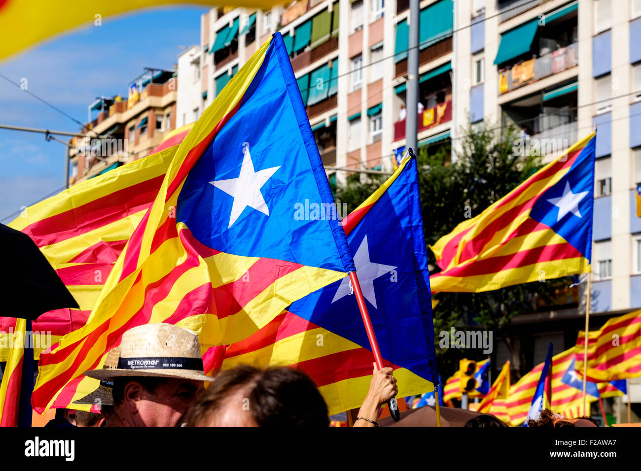 Estelada bandiere in Meridiana Avenue, Barcellona durante il pro-indipendenza dimostrazione il 11 settembre 2015 Foto Stock