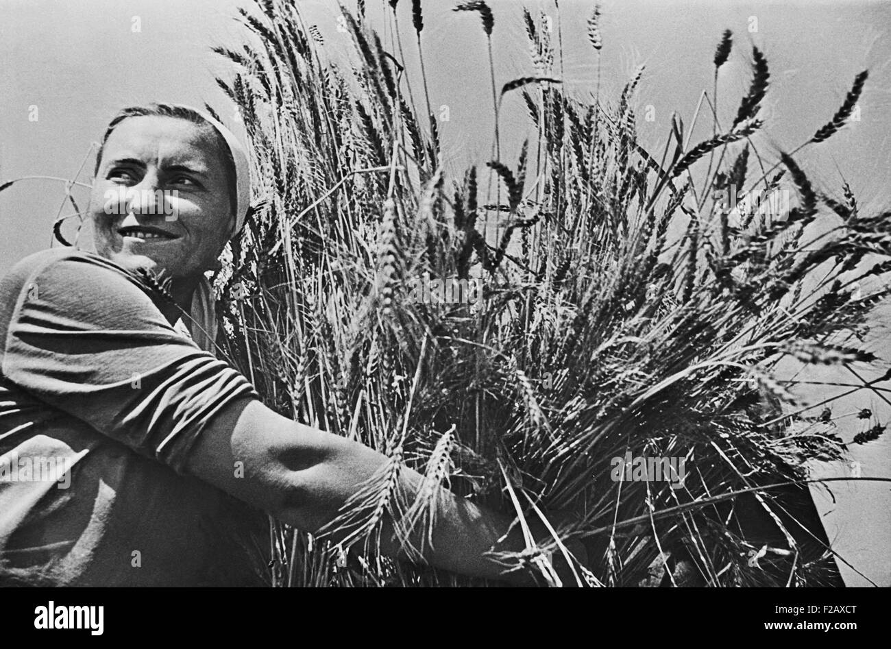 Donna agricoltore collettiva con appena raccolto frumento. Ca. 1935-40. Nei pressi di Krasnodar, URSS (BSLOC 2015 2 255) Foto Stock