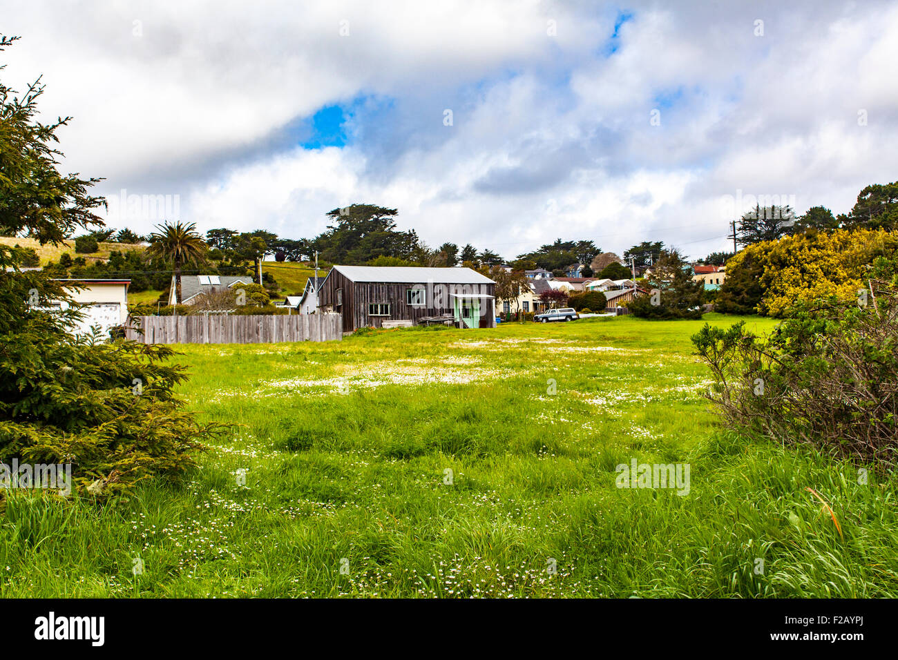 Una casa a spiovente e la molla di fiori di campo in corrispondenza del punto Arena California lungo la Highway 1 Foto Stock