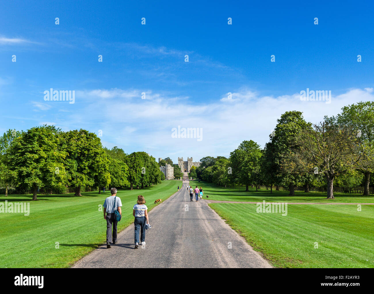 Walkers sul lungo cammino con il Castello di Windsor in distanza, Windsor Great Park, Berkshire, Inghilterra, Regno Unito Foto Stock
