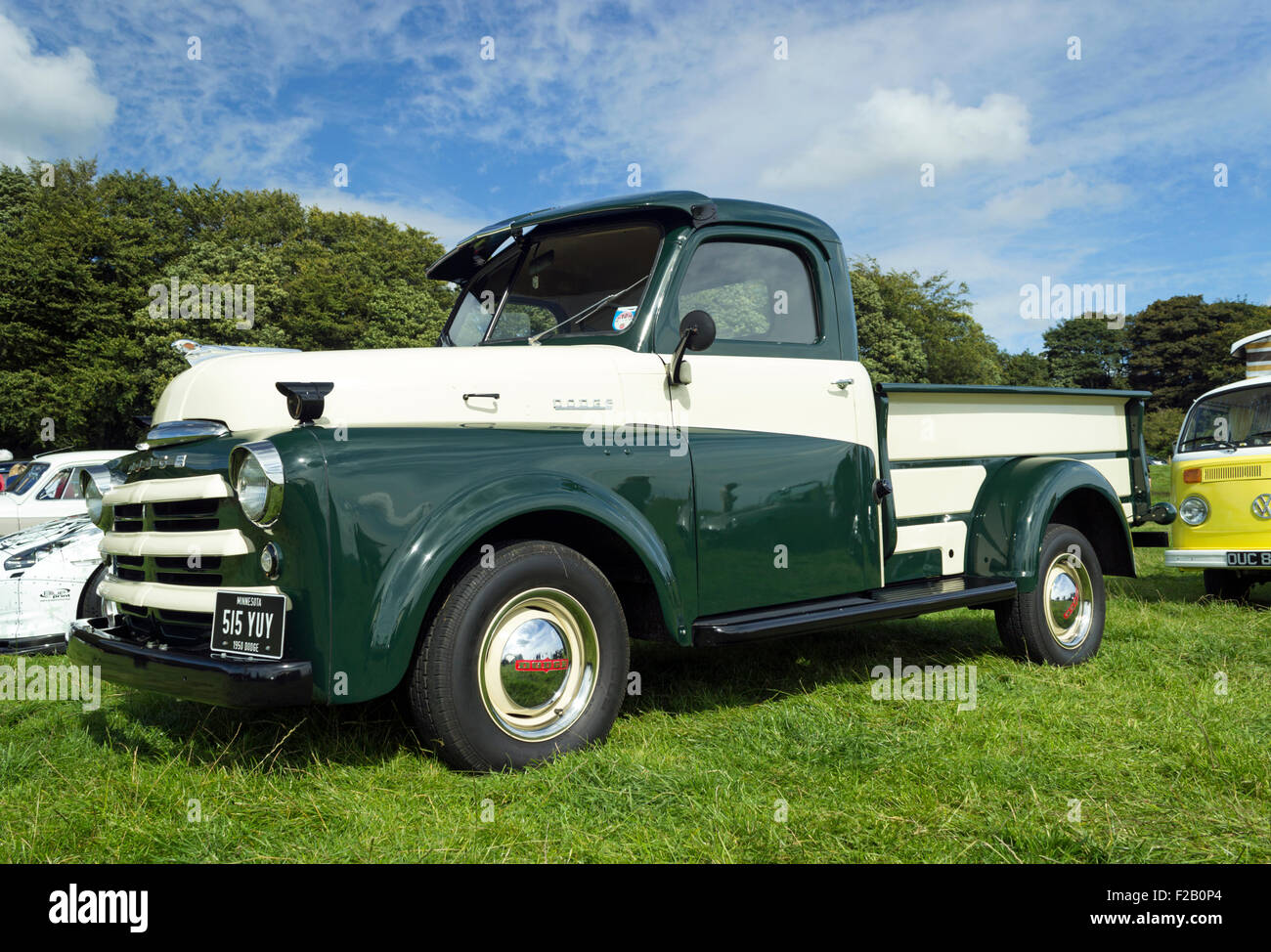 1950 Dodge pick-up Foto stock - Alamy