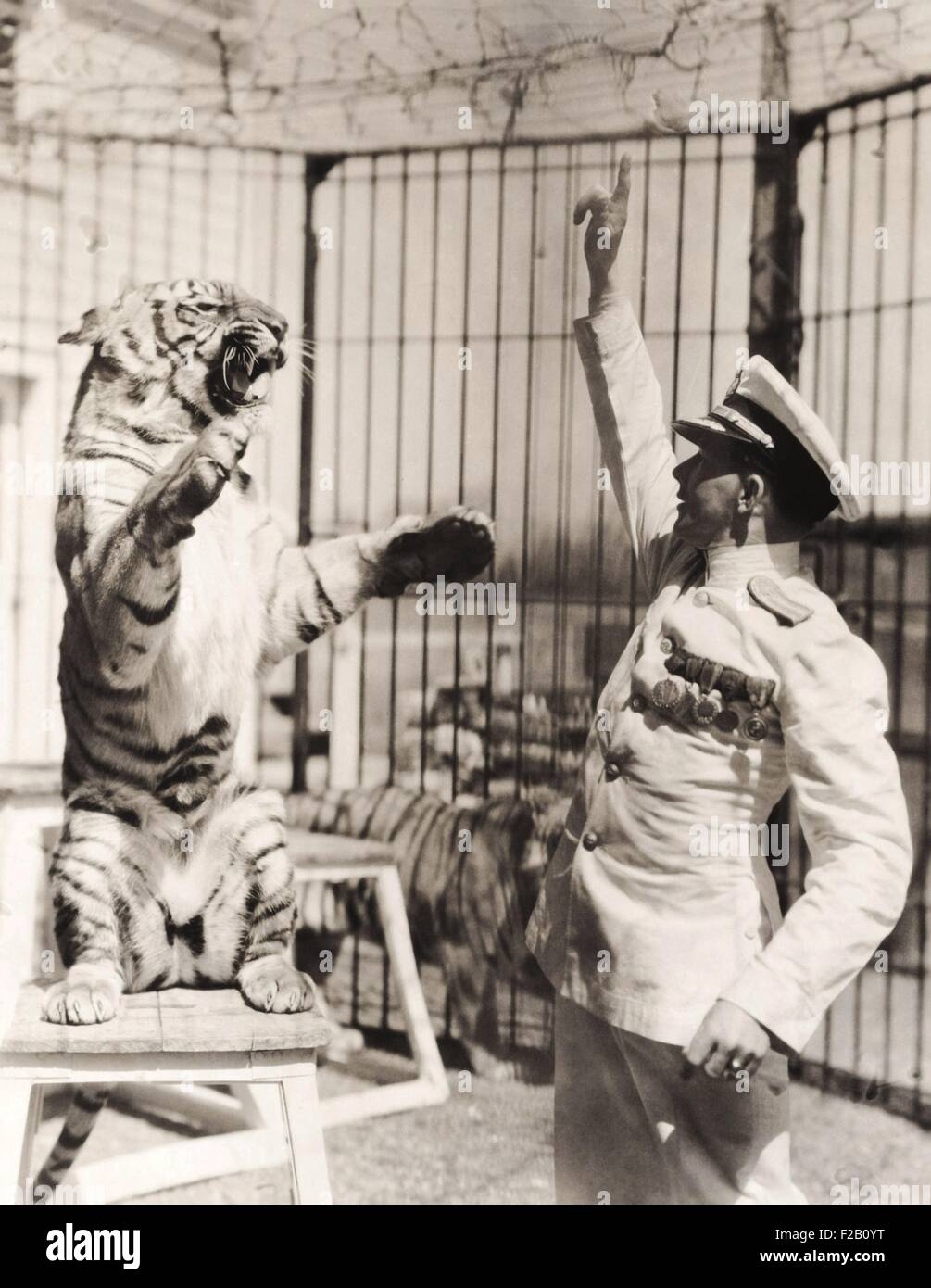 Il cap. Proske romano, un addestratore di animali nato a Vienna nel 1898. A 13 anni egli corse lontano da casa per entrare nel circus. Egli domato e addestrato il suo grande gatti senza usare fruste o sedie. 1938 (CSU 2015 9 1015) Foto Stock