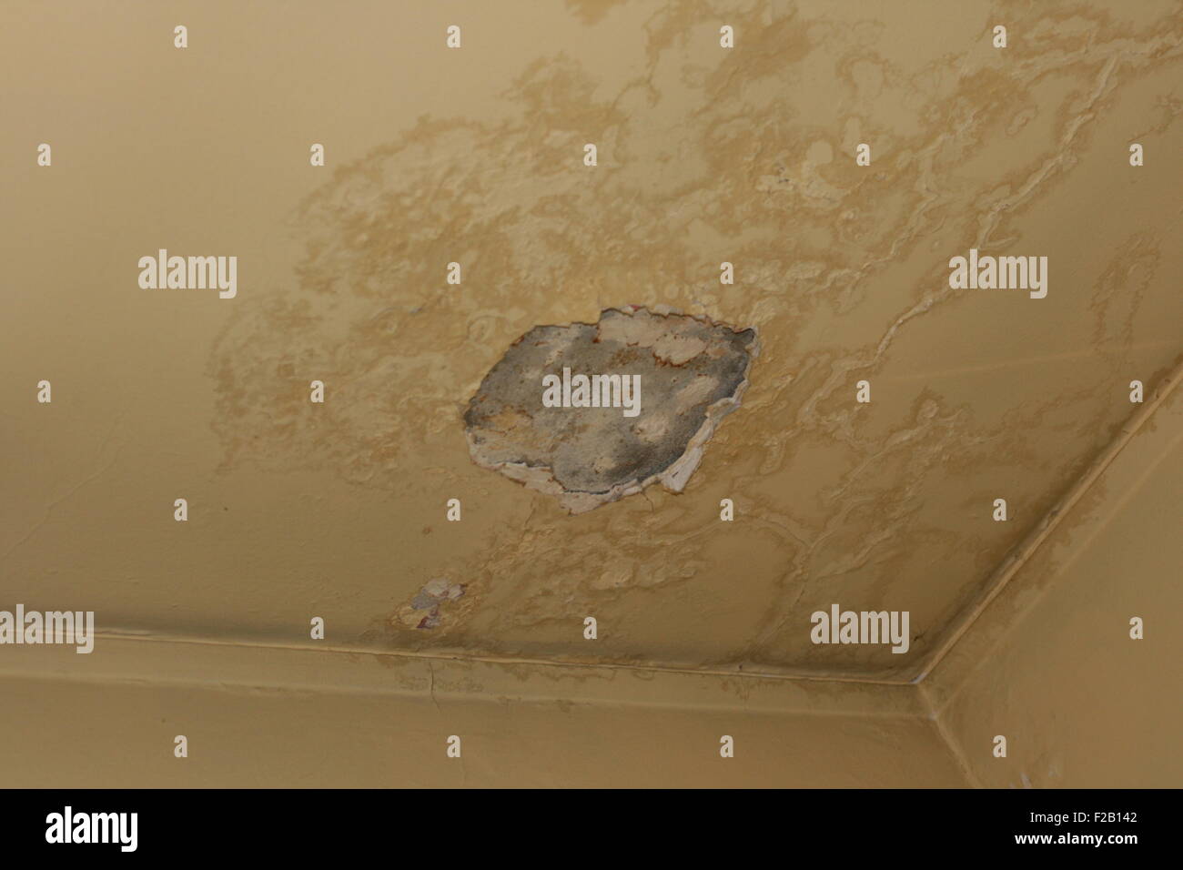 Crepa sul soffitto di una vecchia casa Foto Stock