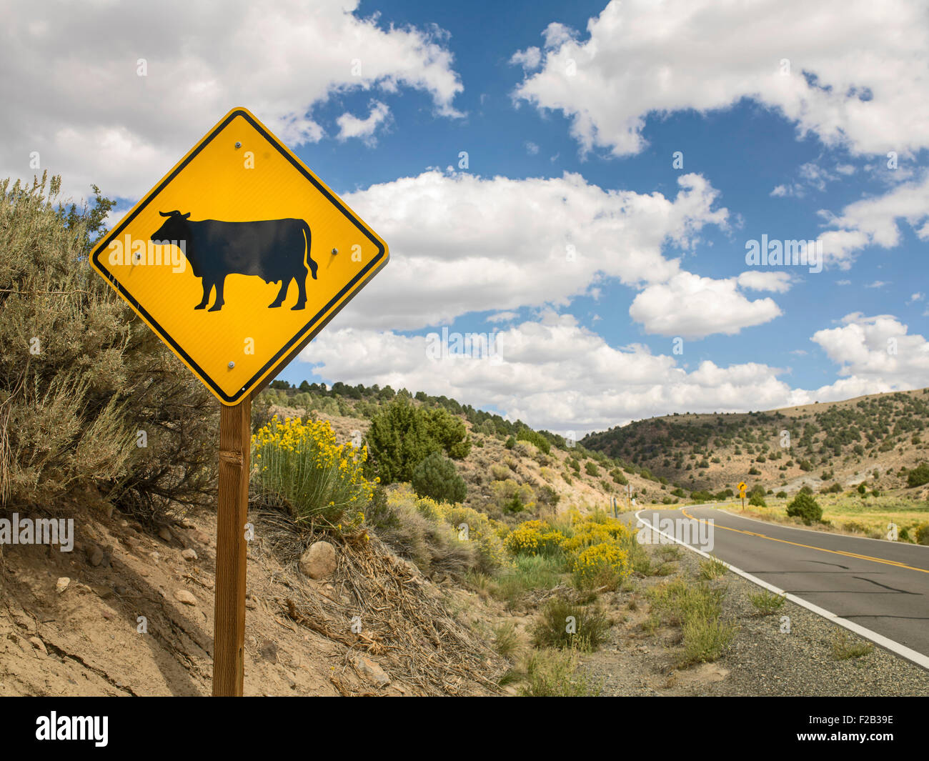 Mucca un cartello di segnalazione sull'autostrada 278, a Bodie Ghost Town, Mono County, California, Stati Uniti d'America Foto Stock