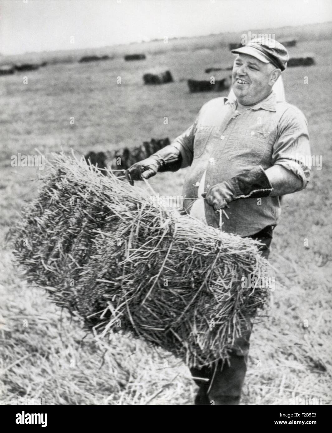 La Whittaker Chambers, al lavoro della sua azienda agricola in Westminster Maryland. Luglio 10, 1949. Egli fu il capo di accusa testimonianza nell'Alger Hiss spergiuro prove. - (BSLOC 2014 17 20) Foto Stock