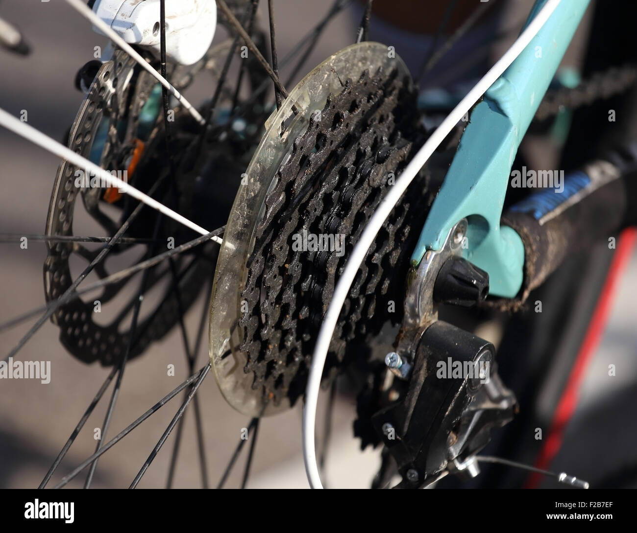 Close-up di ingranaggi di bicicletta e il deragliatore posteriore Foto Stock
