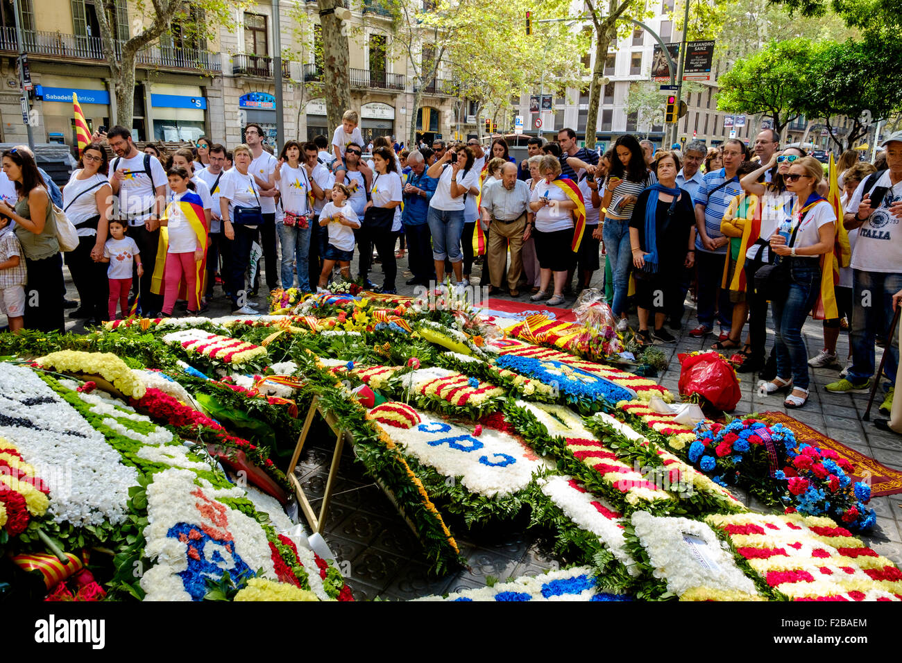 Fiori prevista in corrispondenza di un memoriale di guerra sul catalano Giornata Nazionale (Diada) 11 settembre 2015 Foto Stock