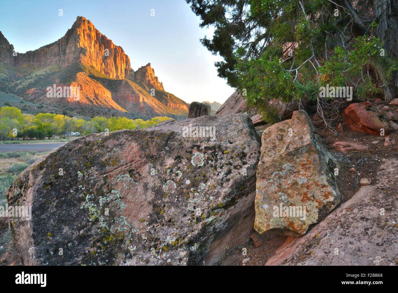 Vista della sentinella, lichen ricoperto di massi e cactus vicino all'entrata del Parco Nazionale di Zion, vicino a Springfield, Utah Foto Stock