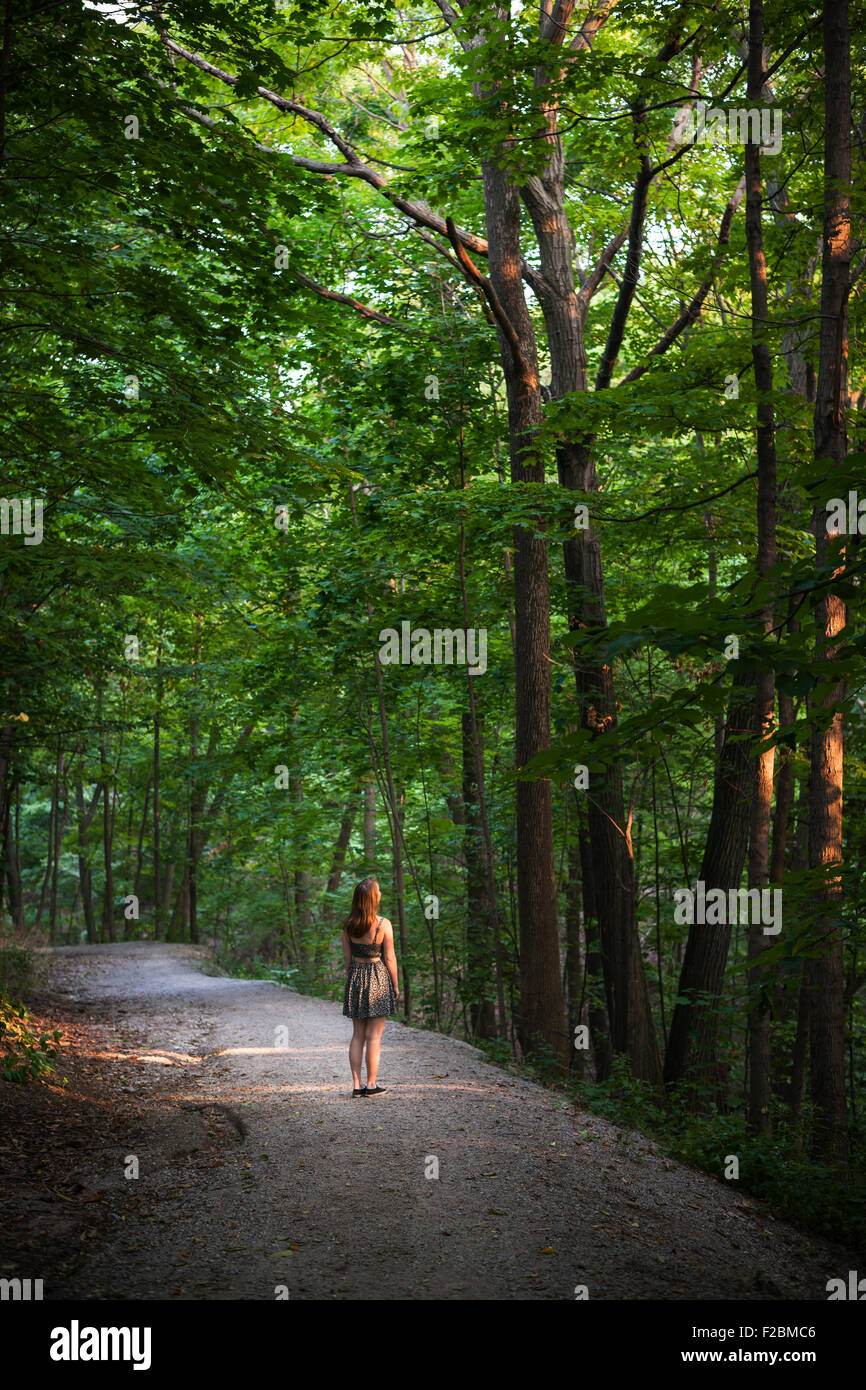 Piccola figura di giovane donna in piedi sul percorso nella foresta scura con grandi alberi di alto fusto illuminata dal sole serale Foto Stock