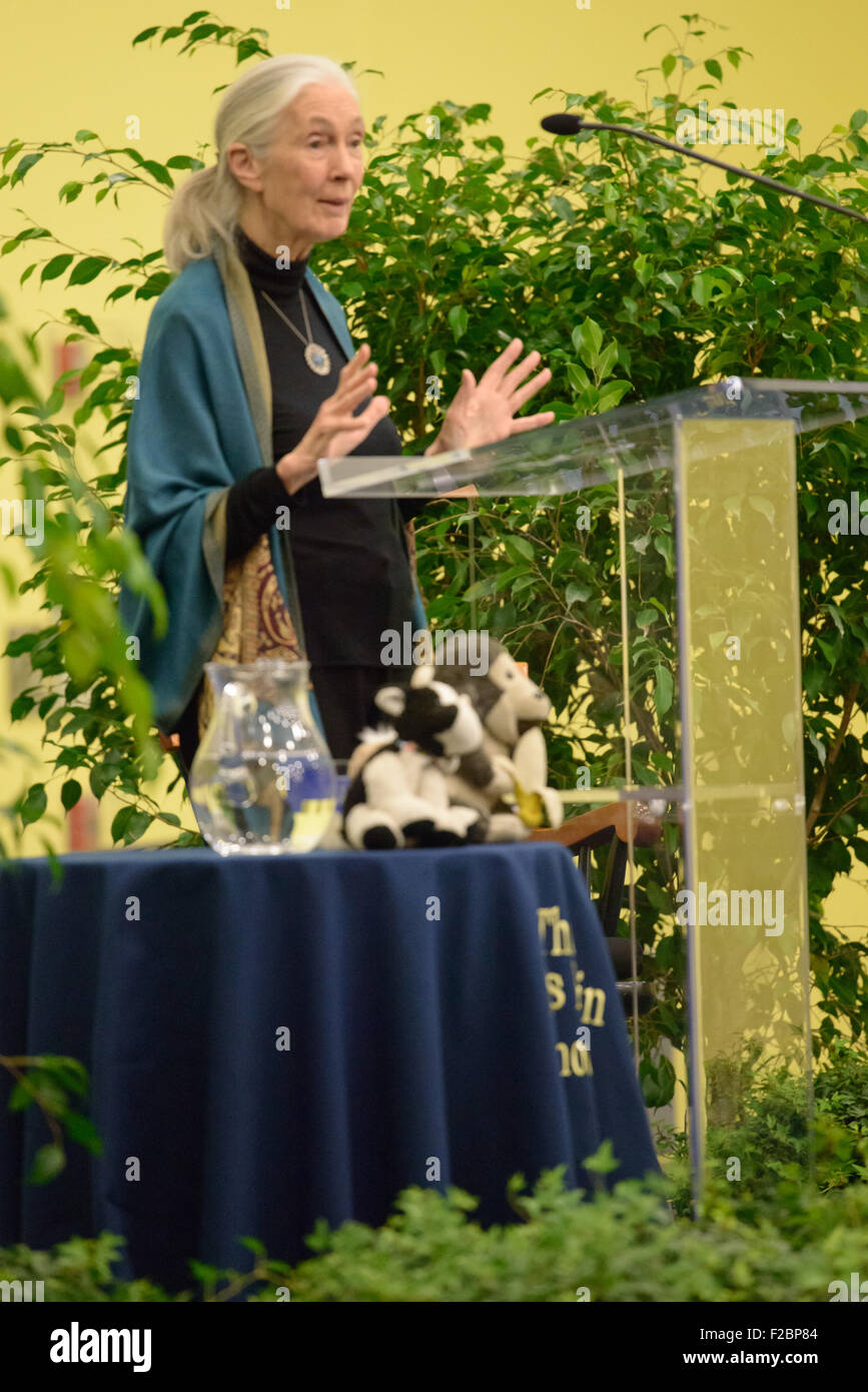 Rosemont, Pennsylvania, USA. Xv Sep, 2015. dr. Jane Goodall, DBE, uno del mondo più rinomato conservazionisti, offrendo una lezione, "a causa della semi di speranza", circa il suo innovativo lavoro studiando gli scimpanzé allo stato selvatico e il suo impegno di lunga data per proteggere l'ambiente all'Agnese irwin scuola. Credito: kelleher fotografia/alamy live news Foto Stock