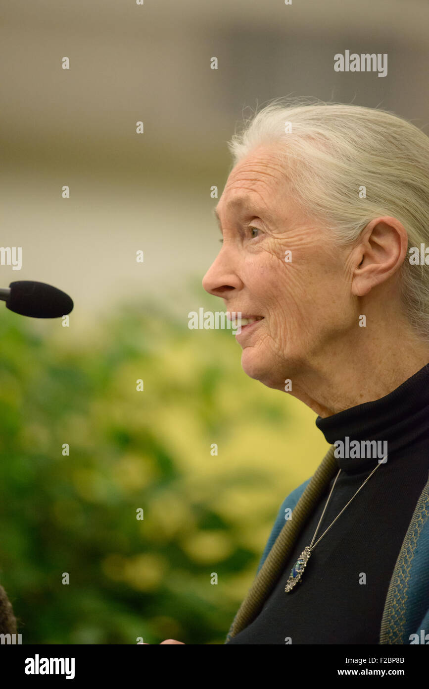 Rosemont, Pennsylvania, USA. Xv Sep, 2015. dr. Jane Goodall, DBE, uno del mondo più rinomato conservazionisti, offrendo una lezione, "a causa della semi di speranza", circa il suo innovativo lavoro studiando gli scimpanzé allo stato selvatico e il suo impegno di lunga data per proteggere l'ambiente all'Agnese irwin scuola. Credito: kelleher fotografia/alamy live news Foto Stock