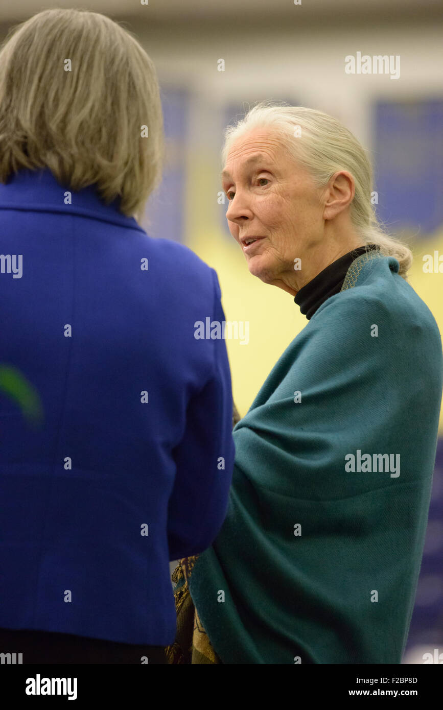 Rosemont, Pennsylvania, USA. Xv Sep, 2015. dr. Jane Goodall, DBE, uno del mondo più rinomato conservazionisti, offrendo una lezione, "a causa della semi di speranza", circa il suo innovativo lavoro studiando gli scimpanzé allo stato selvatico e il suo impegno di lunga data per proteggere l'ambiente all'Agnese irwin scuola. Credito: kelleher fotografia/alamy live news Foto Stock